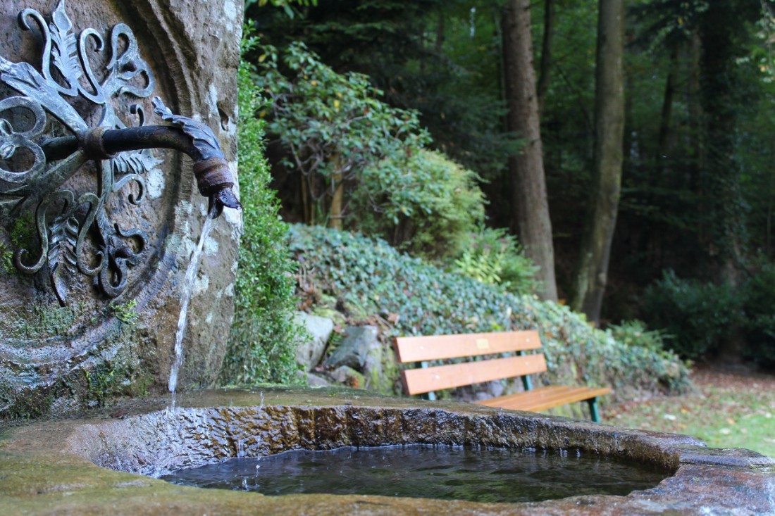 Brunnen Im Wald